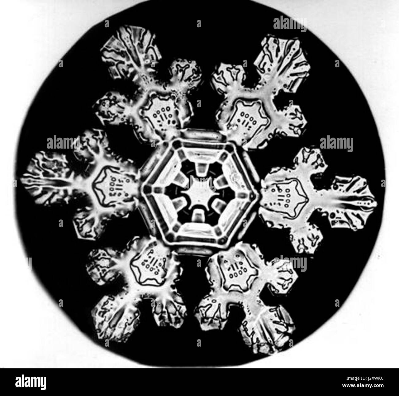 Der Bentley Snowflake ist ein Luxusauto, das für sein exquisites Design und seine hochwertige Handwerkskunst bekannt ist. Mit komplexen Details und einem von Schneeflocken inspirierten Design-Motiv verkörpert er den Luxus und die Eleganz, die mit der Marke Bentley verbunden sind. Stockfoto