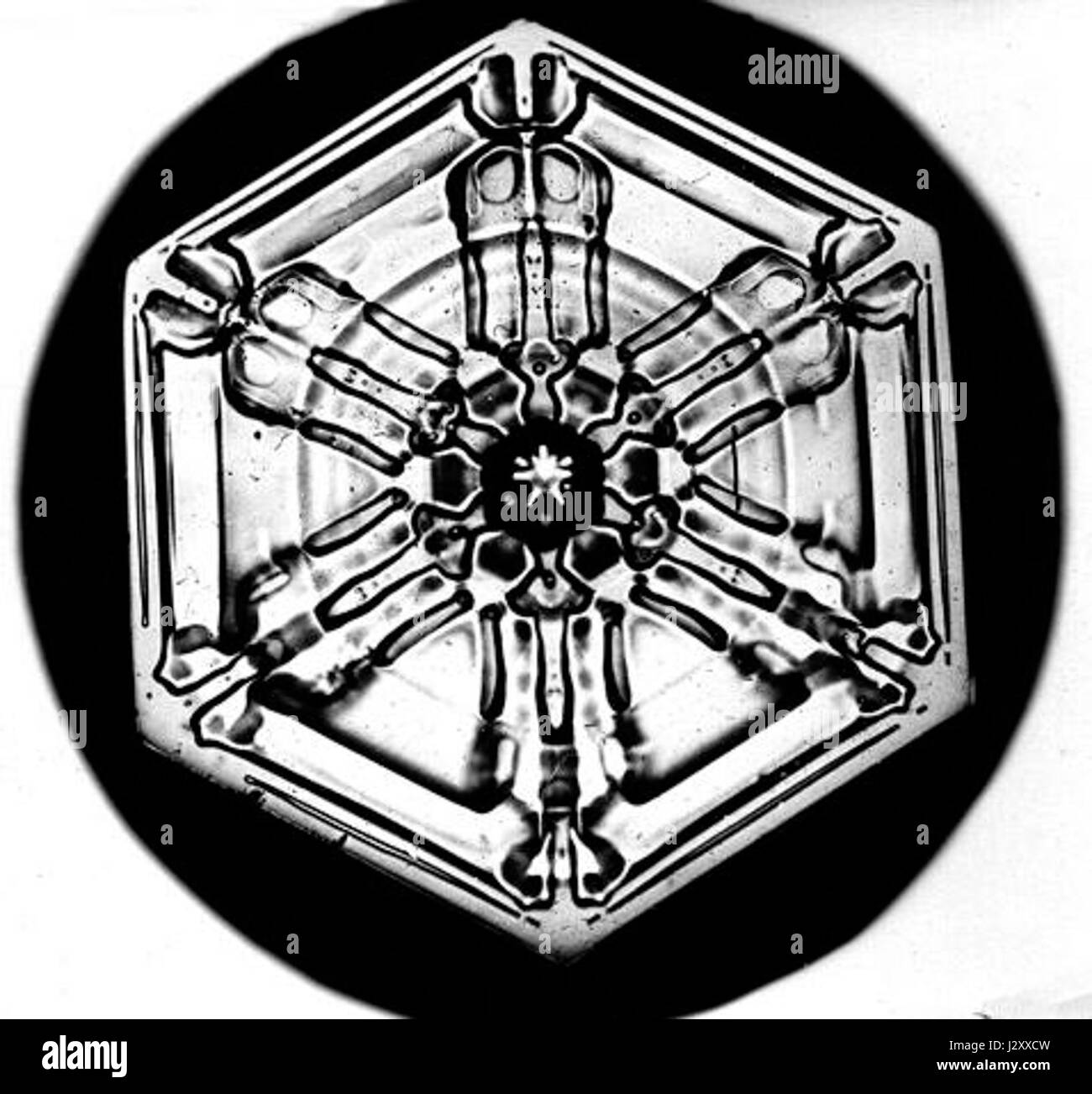 Bentley Snowflake6 Stockfoto