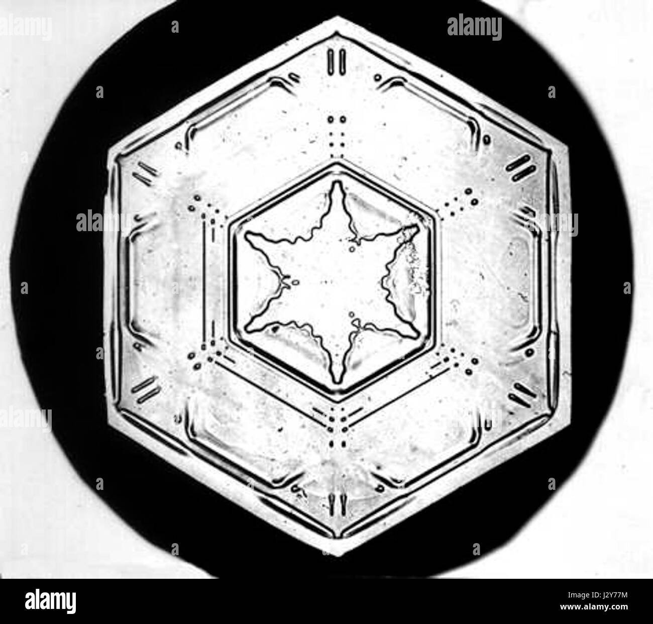 Bentley Snowflake19 Stockfoto