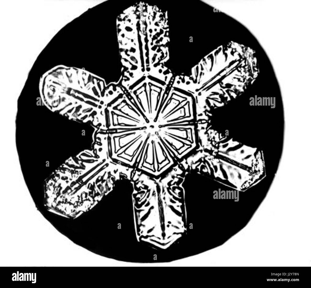 Bentley Snowflake14 Stockfoto