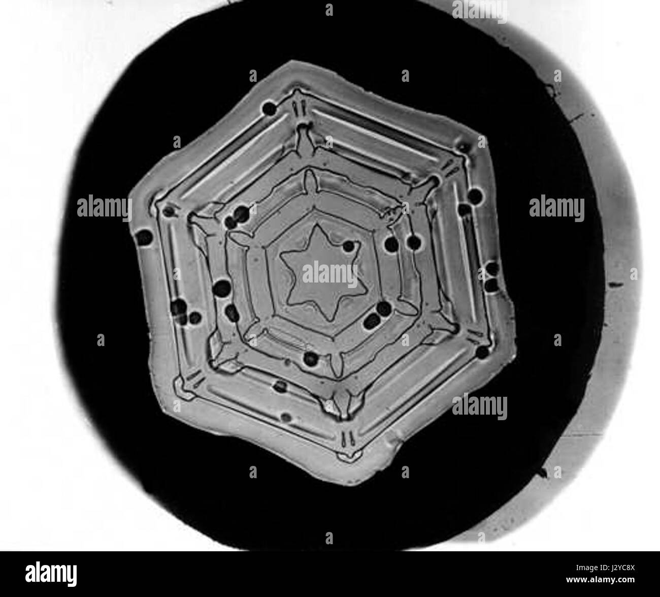 Bentley Snowflake16 Stockfoto