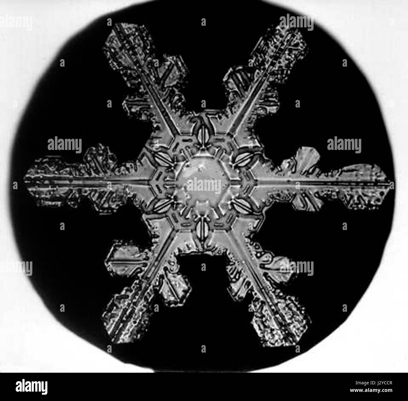 Der Bentley Snowflake ist ein Modell, das mit dem berühmten britischen Luxuswagenhersteller in Verbindung gebracht wird. Dieser Begriff kann sich auf ein bestimmtes Fahrzeugmodell oder ein Designmerkmal beziehen, das für seine Eleganz und Leistung bekannt ist. Stockfoto