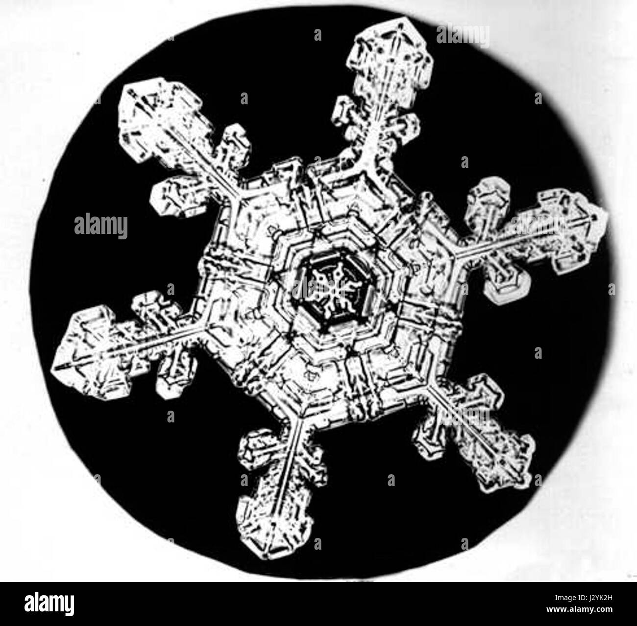 Dies bezieht sich auf ein Schneeflockendesign von Bentley, das auf eine Untersuchung von Schneeflocken, eine berühmte wissenschaftliche Entdeckung oder ein dekoratives Muster verweisen könnte. Stockfoto