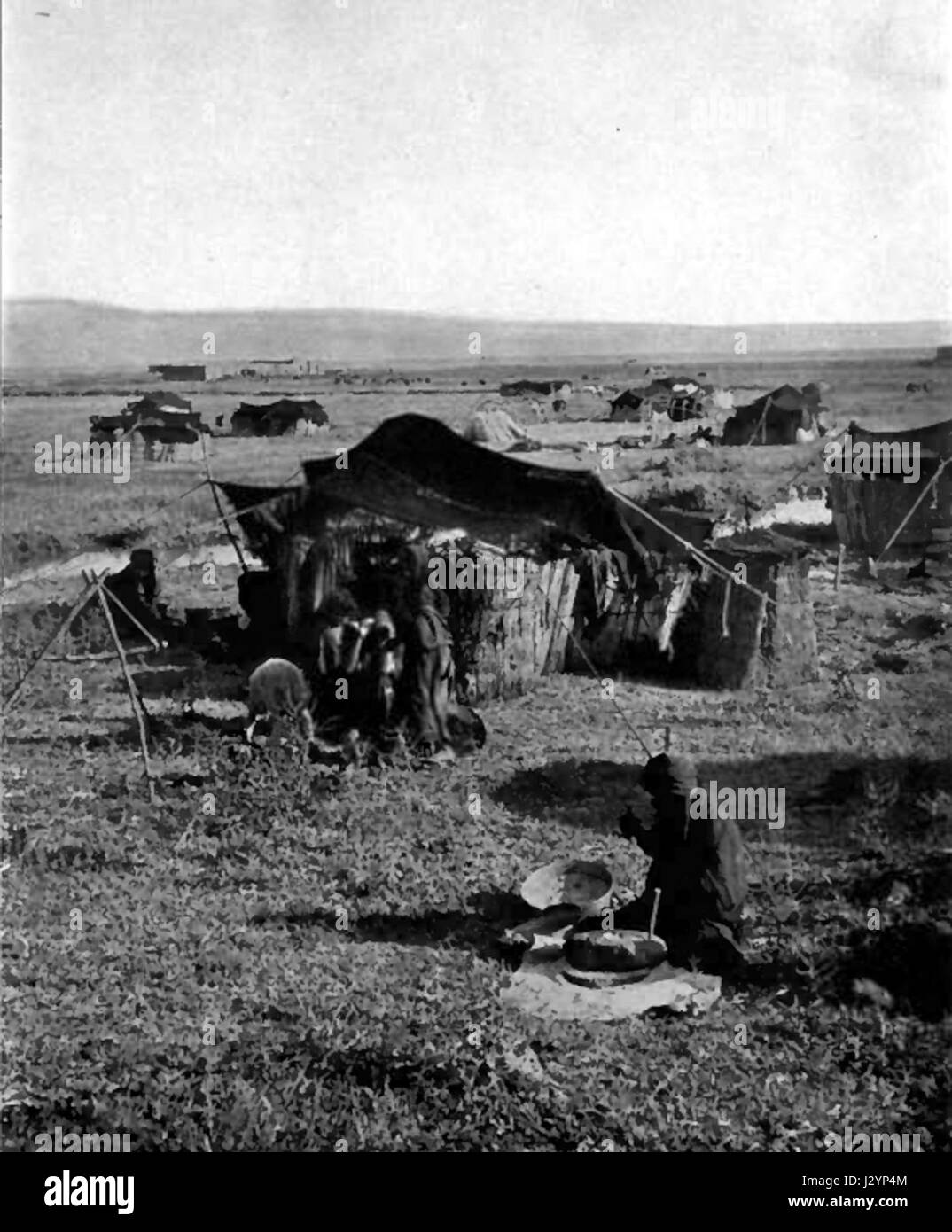 Beduinenzelte 1912 Stockfoto