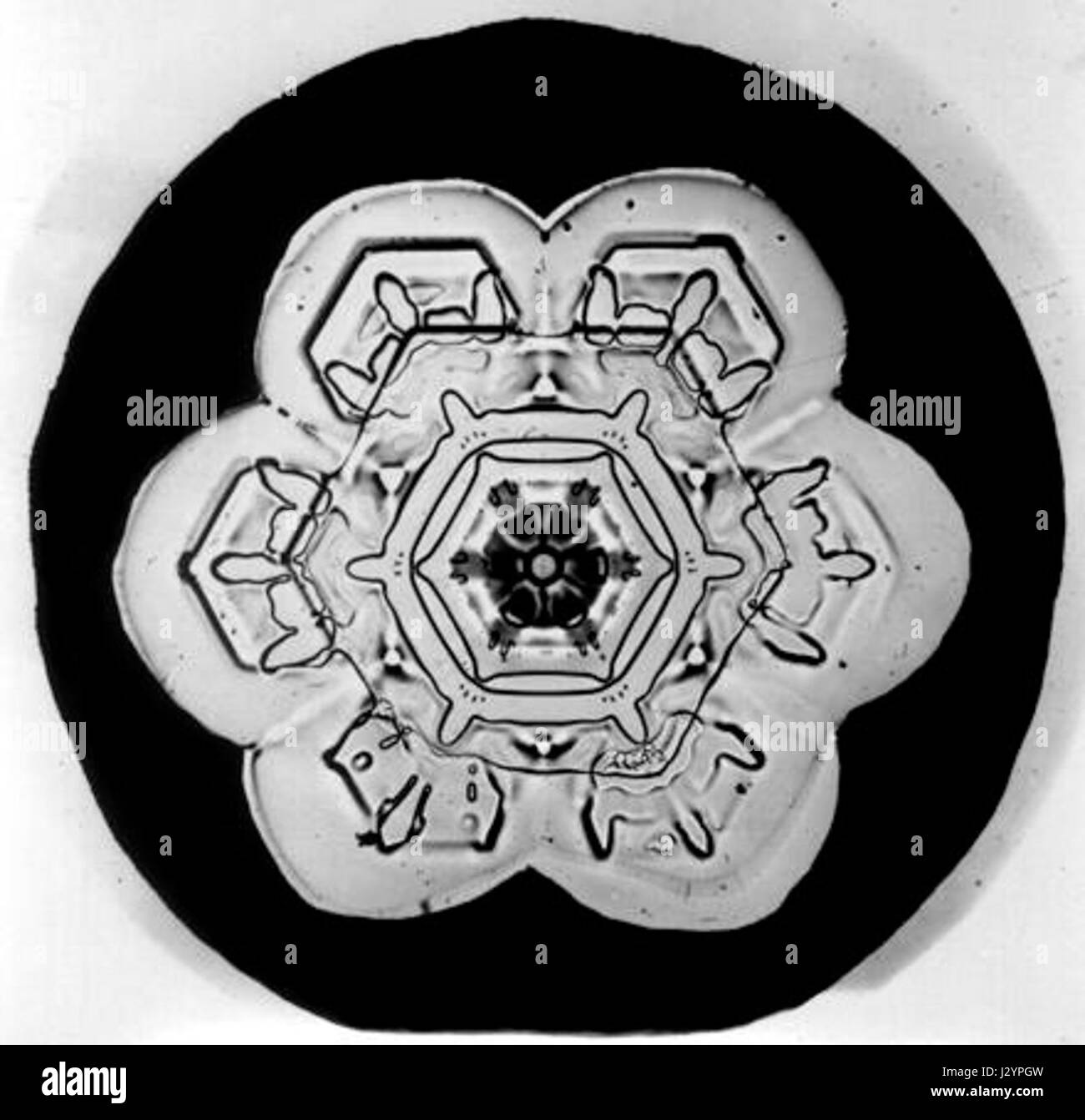 Der Bentley Snowflake ist ein luxuriöses Fahrzeugmodell, das für seine exquisite Handwerkskunst und sein Design bekannt ist. Er zeichnet sich durch fortschrittliche Technik aus, die sowohl Leistung als auch Komfort bietet, was ihn zu einem begehrten Modell auf dem Markt für Luxusautos macht. Stockfoto
