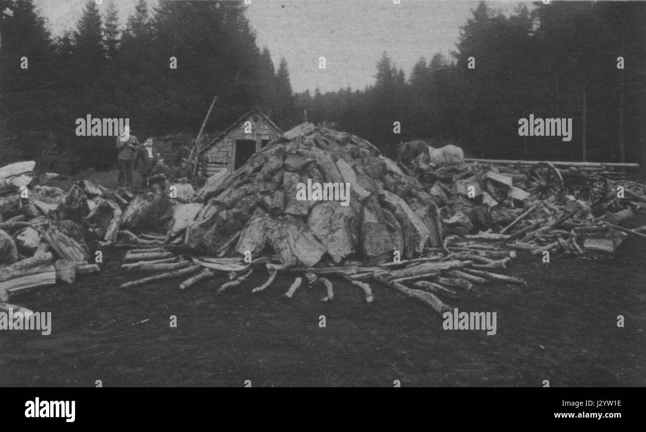 Holzkohle Haufen 03 Stockfoto