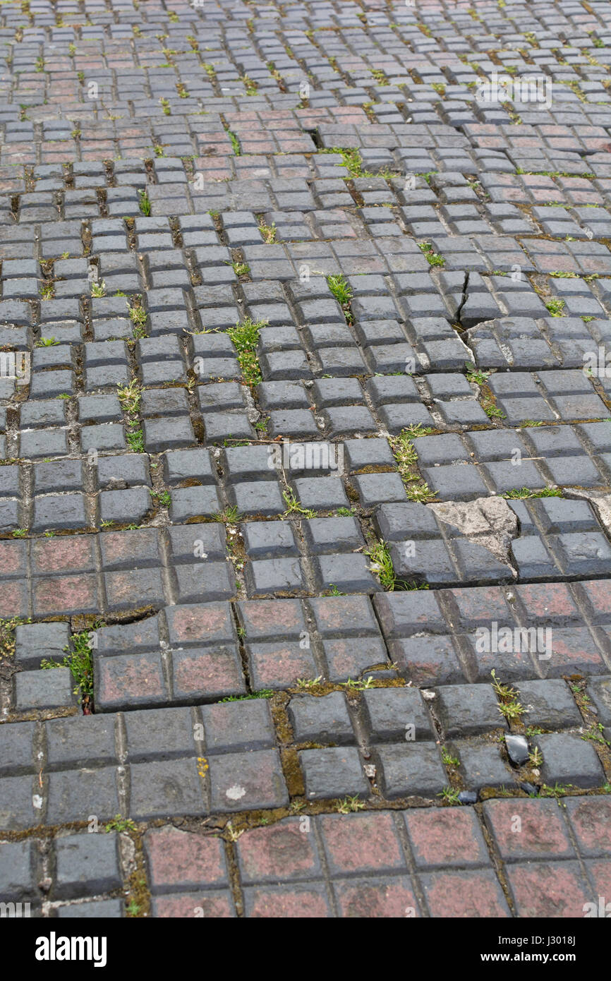 Abschnitt der quadrierten Pflaster in Truro, Cornwall. Stockfoto