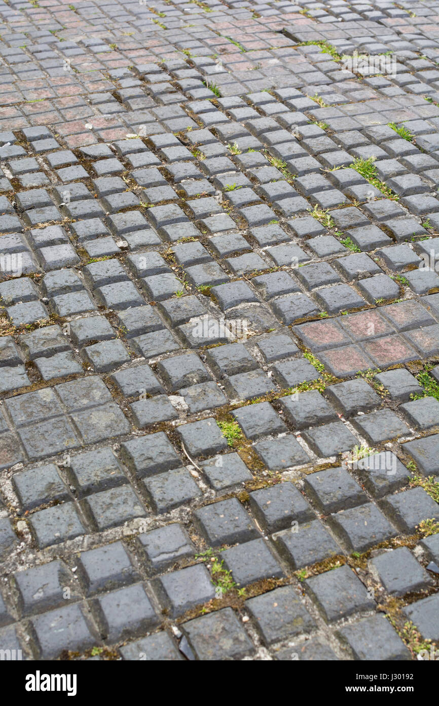 Abschnitt der quadrierten Pflaster in Truro, Cornwall. Stockfoto