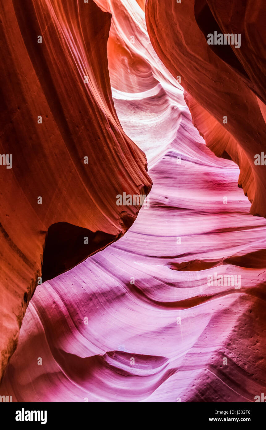 Rosa Pfirsich Wellenformen fotografiert bei Slots Schluchten in Arizona Stockfoto