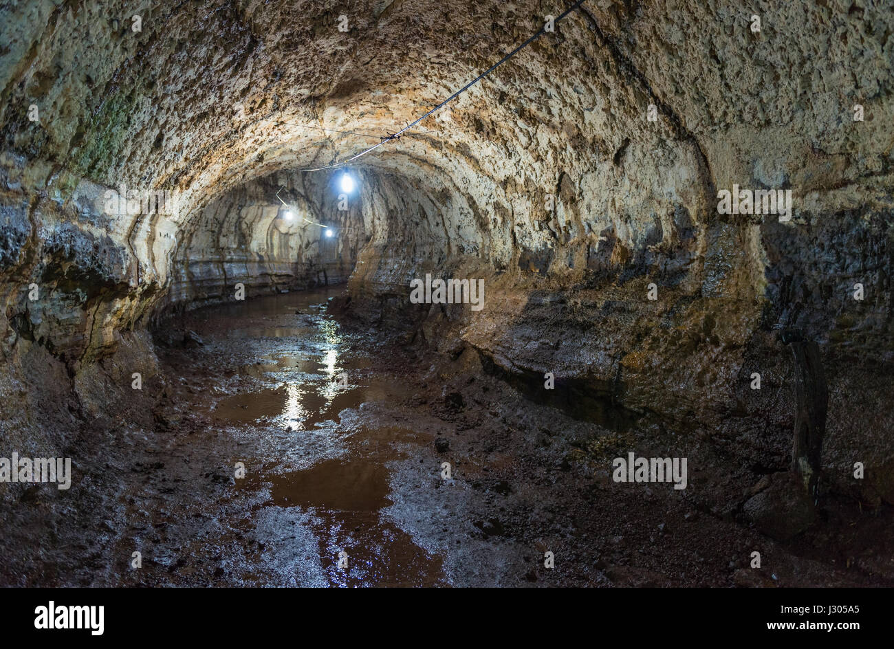 Ein Spaziergang durch den Lava-Tunnel auf der Insel Santa Cruz in den Galapagos-Inseln als Abenteuer Aktivität in Ecuador. Stockfoto