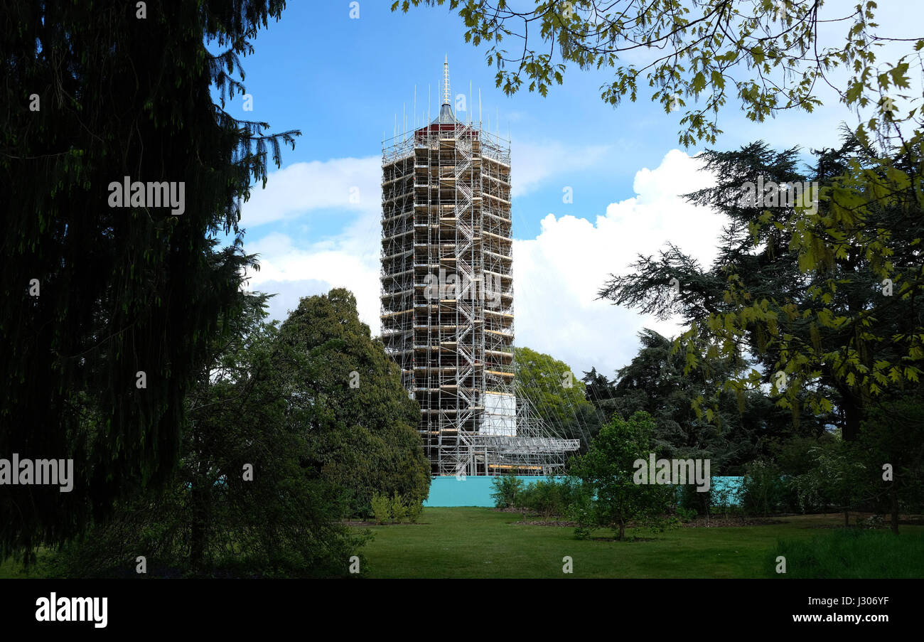 Das Gerüst umfasst die 163 Meter hohe große große Pagode im Royal Botanic Gardens, Kew, Südwesten Londons, die derzeit ein £4.5 Millionen großes Projekt zur Erhaltung durchläuft, das die Stadt in ihren Glanz aus dem 18. Jahrhundert zurückbringen und 2018 endgültig für die Öffentlichkeit wiedereröffnet. Stockfoto