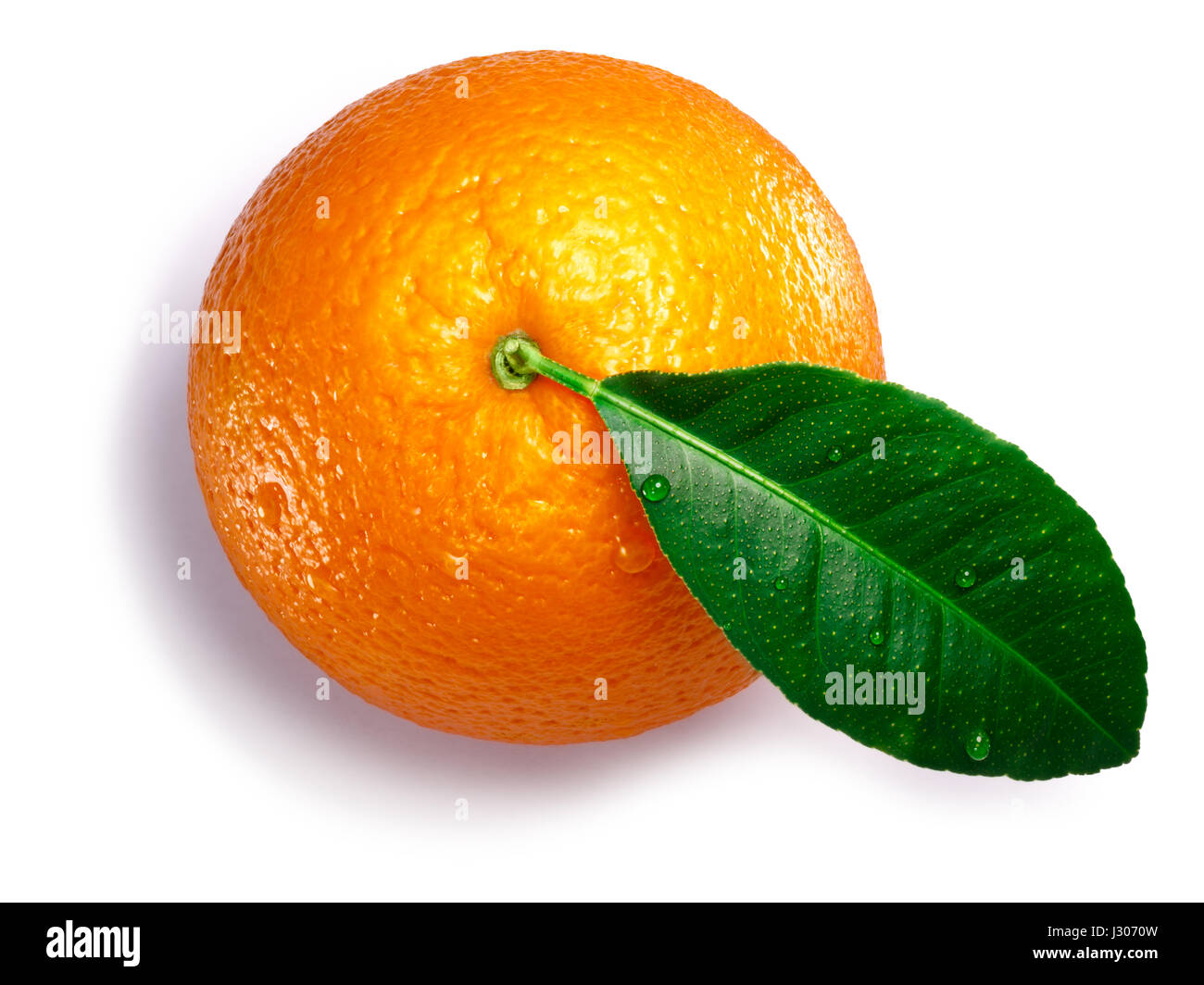 Orange mit Blatt (Citrus Sinensis Frucht), ganze. Schneidepfade, Schatten Sie getrennt, Top Aussicht Stockfoto