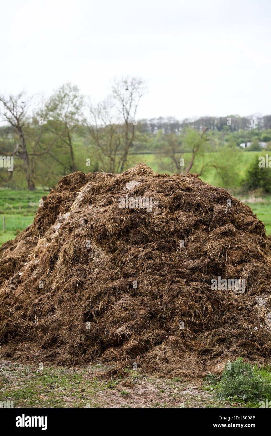 Ein Haufen von Dünger Kompost auf dem UK-Bauernhof Stockfoto