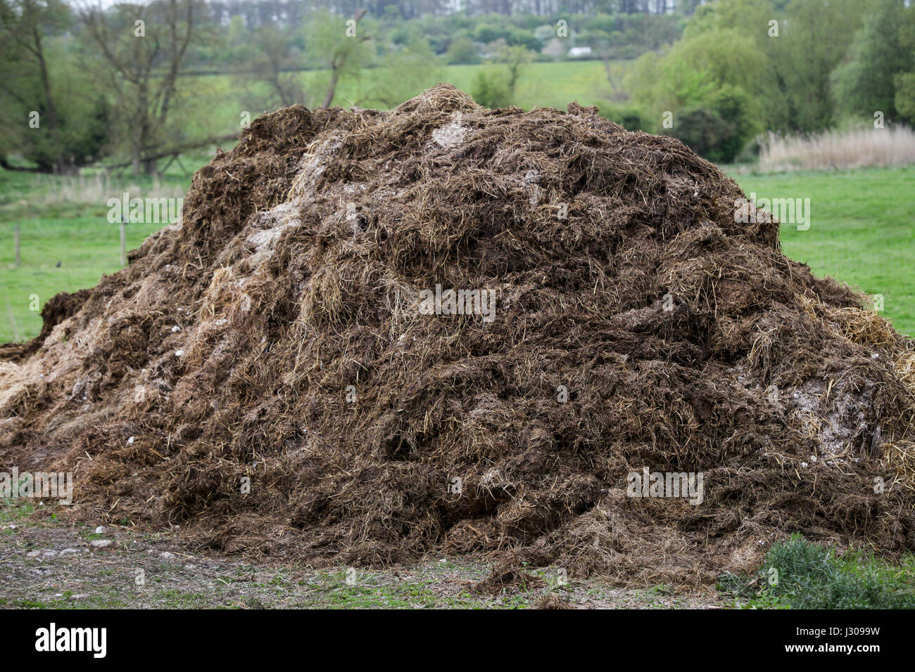 Ein Haufen von Dnger Kompost auf dem UK-Bauernhof Stockfotografie - Alamy