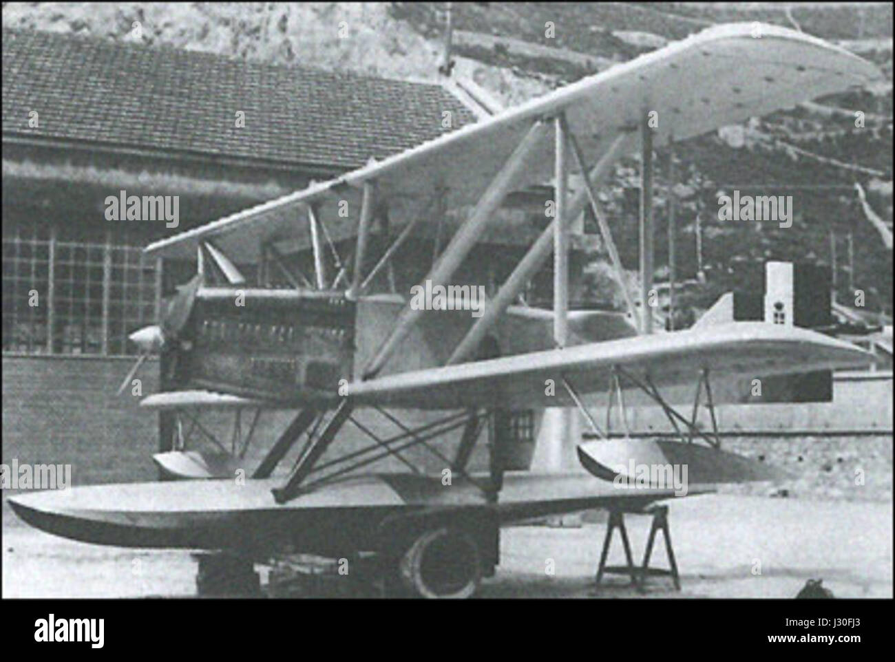 Die Piaggio P.6 ist ein historisches italienisches Flugzeug. Dieses Bild zeigt das linke Vorderviertel und zeigt das aerodynamische Design und die wichtigsten strukturellen Merkmale. Stockfoto
