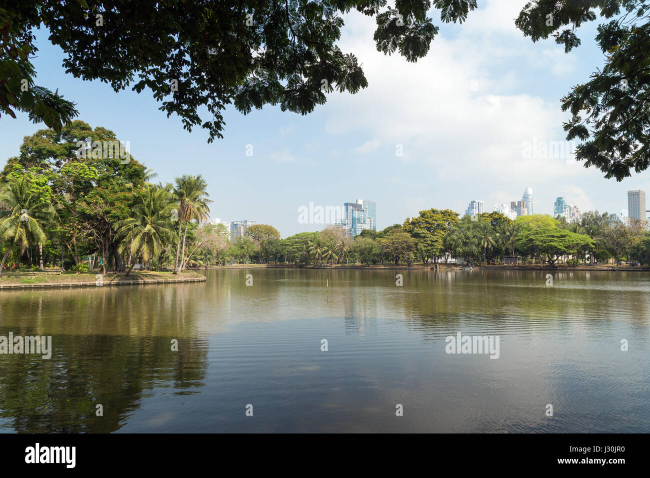 Blick auf Palmen und See am Lumpinipark (Lumphini) in Bangkok, Thailand. Stockfoto