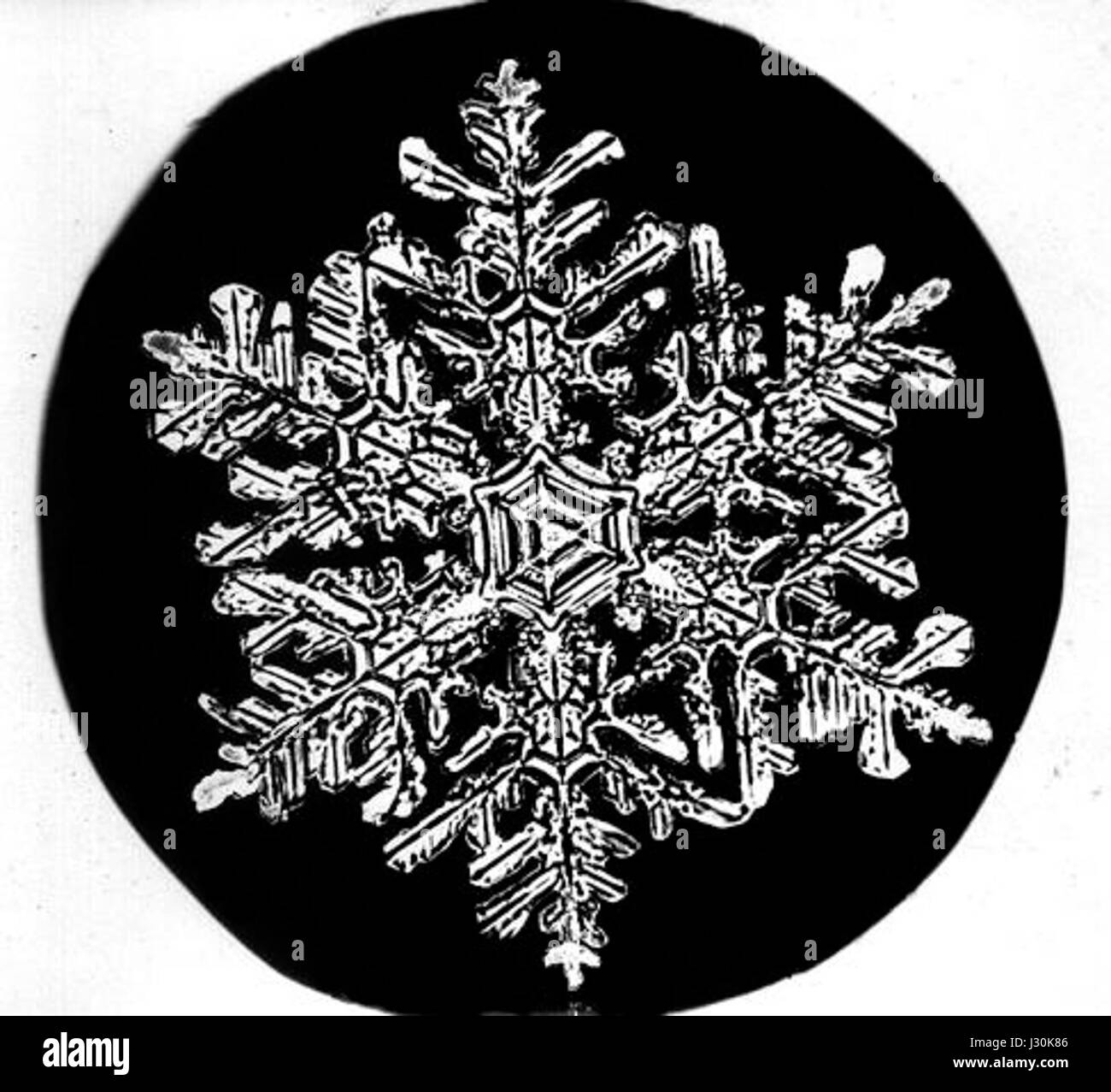 Bentley Snowflake bezieht sich auf ein Modell oder Konzept in Bezug auf Bentley, möglicherweise die Luxusmarke oder ein bestimmtes Fahrzeugdesign. Der Titel deutet auf eine Verbindung zu einem bestimmten Modell oder einer bestimmten Variante hin. Stockfoto