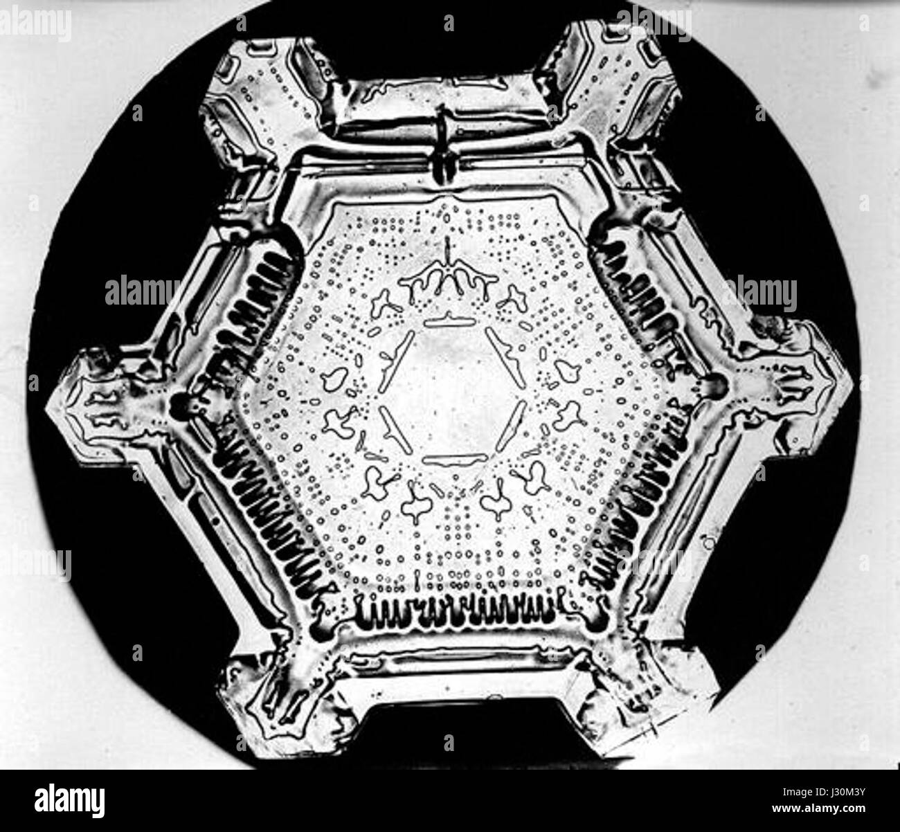 Der Bentley Snowflake ist ein luxuriöses Automobil mit aufwändigen Details und hochwertiger Handwerkskunst. Dieses Modell ist bekannt für seine Eleganz und Leistung und steht für Bentleys Engagement für Qualität und Präzision im Automobildesign. Stockfoto