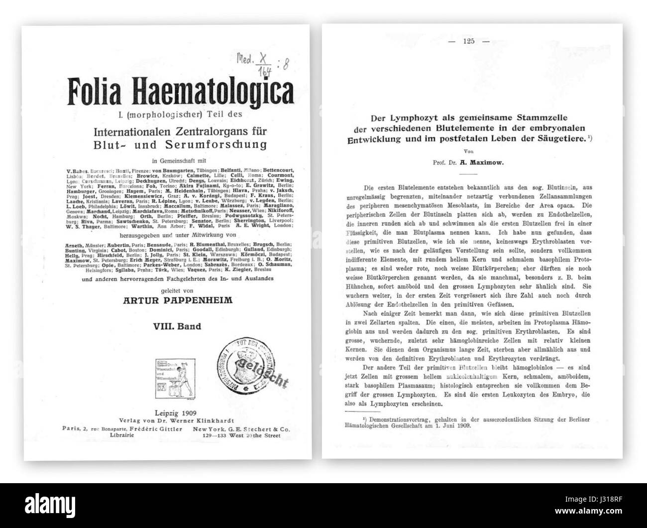 Alexander A. Maximow 1909 Stockfoto