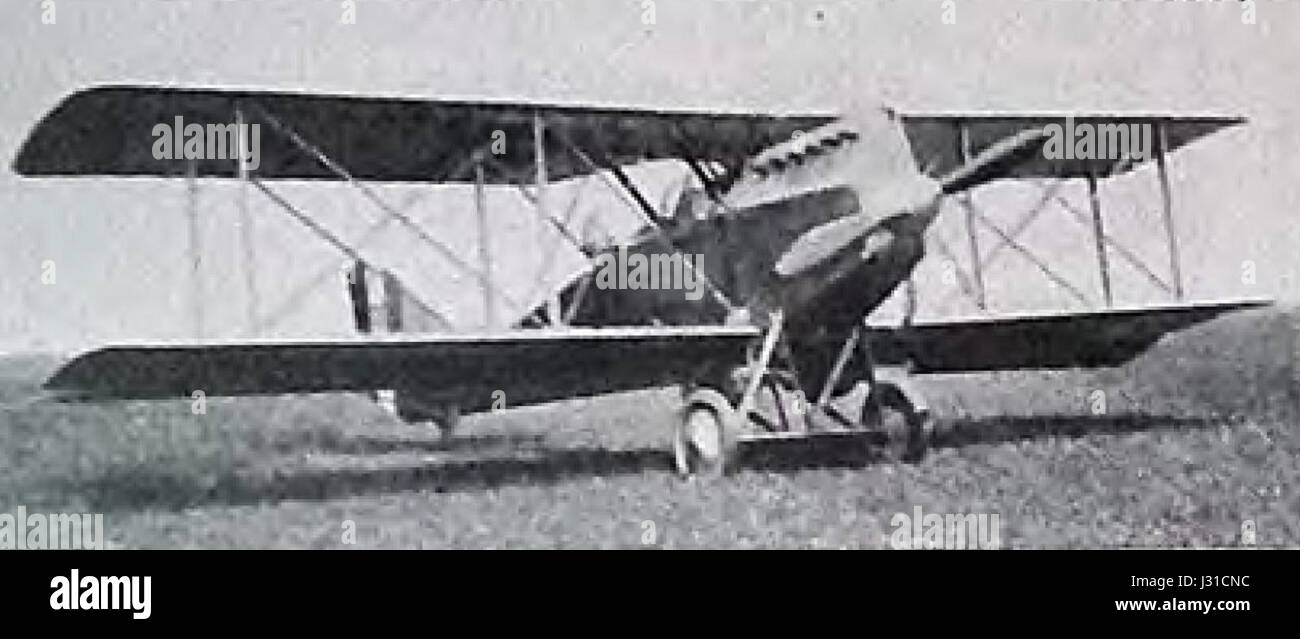 Die Fiat A.300-41 war ein italienisches Flugzeug, das Anfang des 20. Jahrhunderts für militärische Zwecke mit Schwerpunkt auf Luftfahrttechnik entwickelt wurde. Stockfoto