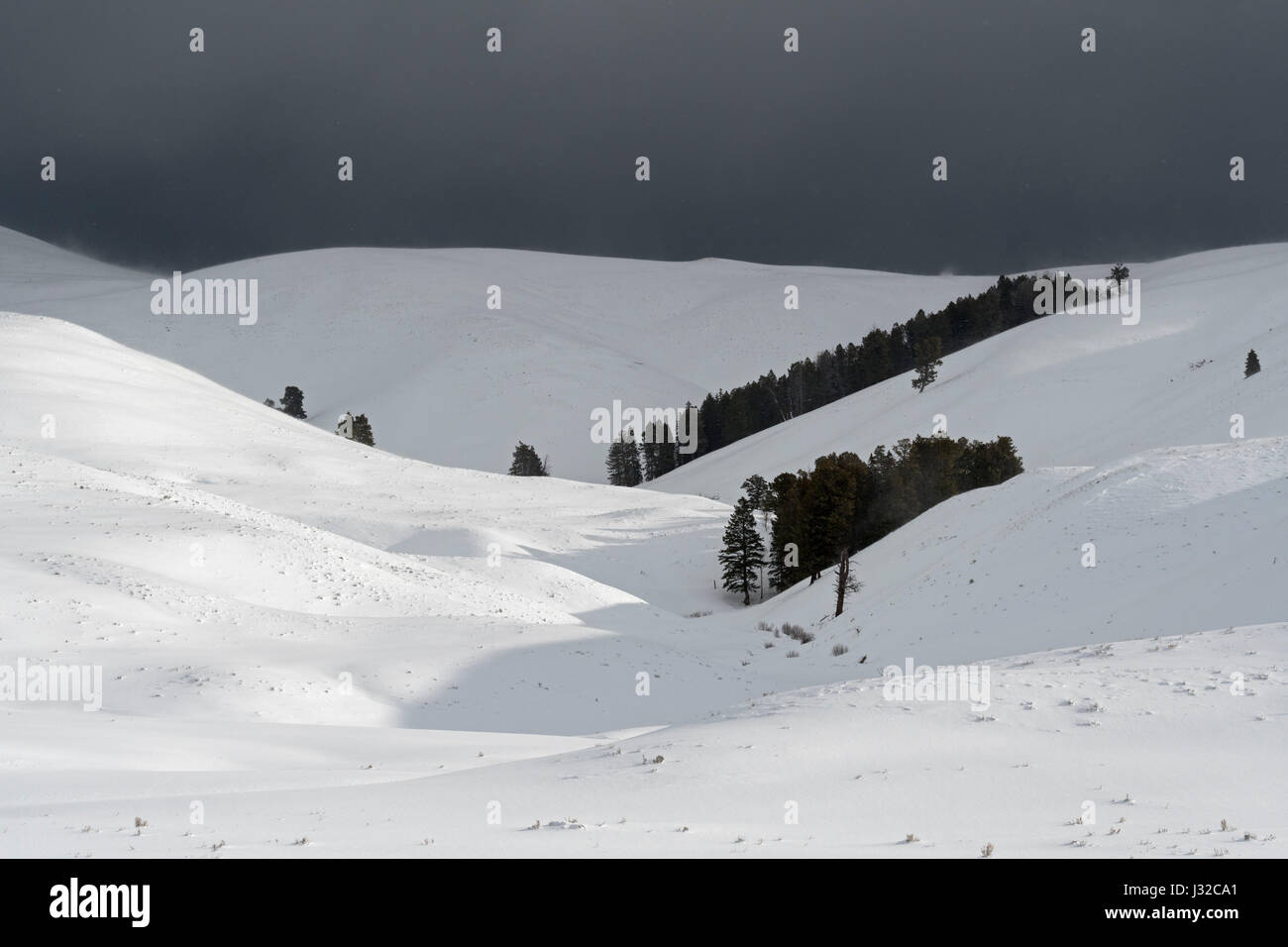 Lamar Valley, Yellowstone-Nationalpark, starker Wind Strahlen Schnee über die Hügel, bedrohlich dunklen schwarzen Himmel, bevorstehende Unwetter, Wyoming, USA. Stockfoto