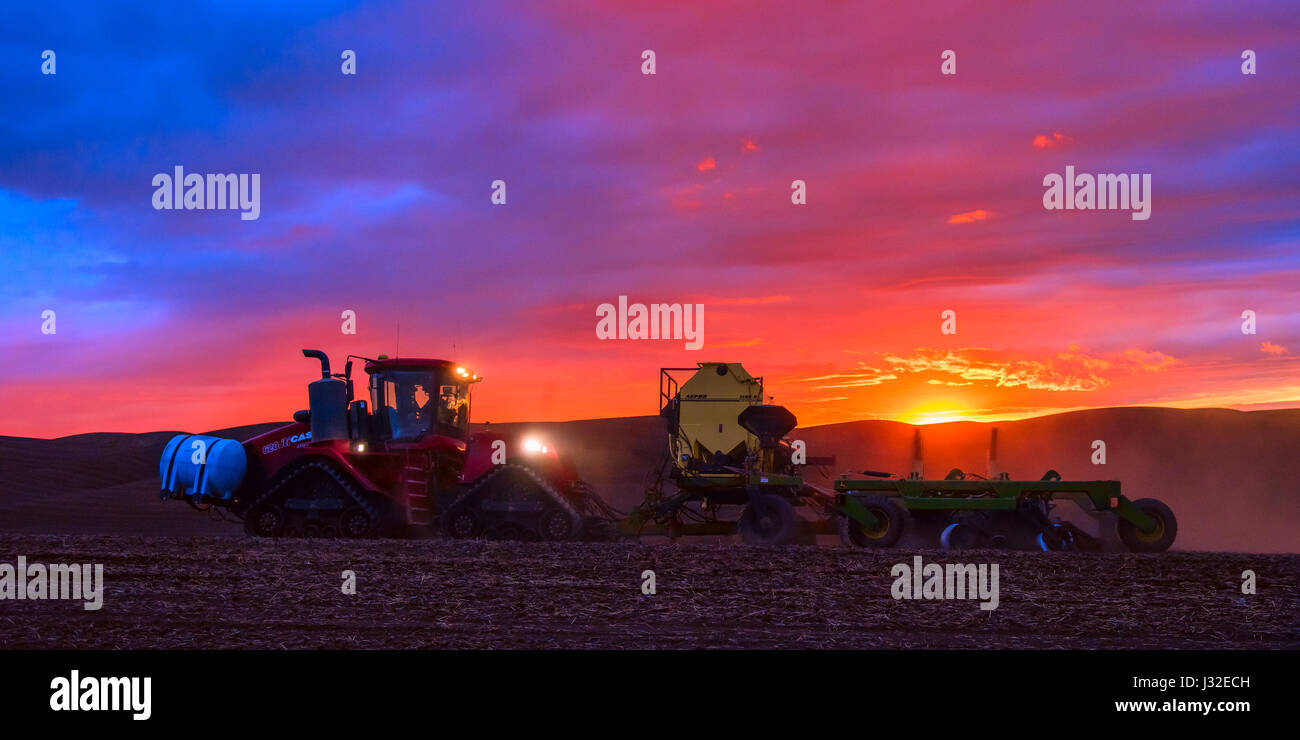 Case Quadtrac Traktor mit Dünger Panzer ziehen ein Luft-Bohrer Pflanzung Sommerweizen bei Sonnenuntergang in der Palouse Region Washington Stockfoto