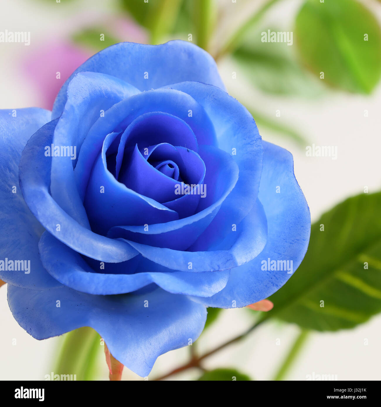 Wunderbare Ton Kunst, blaue rose Blume, knstliche Blumen von  Handwerkskunst mit geschickten hautnah Stockfotografie - Alamy