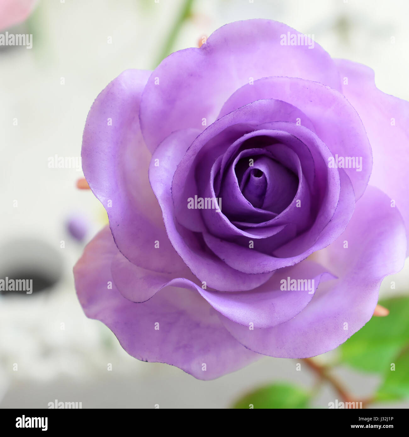 Wunderbare Ton Kunst, Nahaufnahme von violette rose Blume, künstliche Blumen von Handwerkskunst mit geschickten Stockfoto