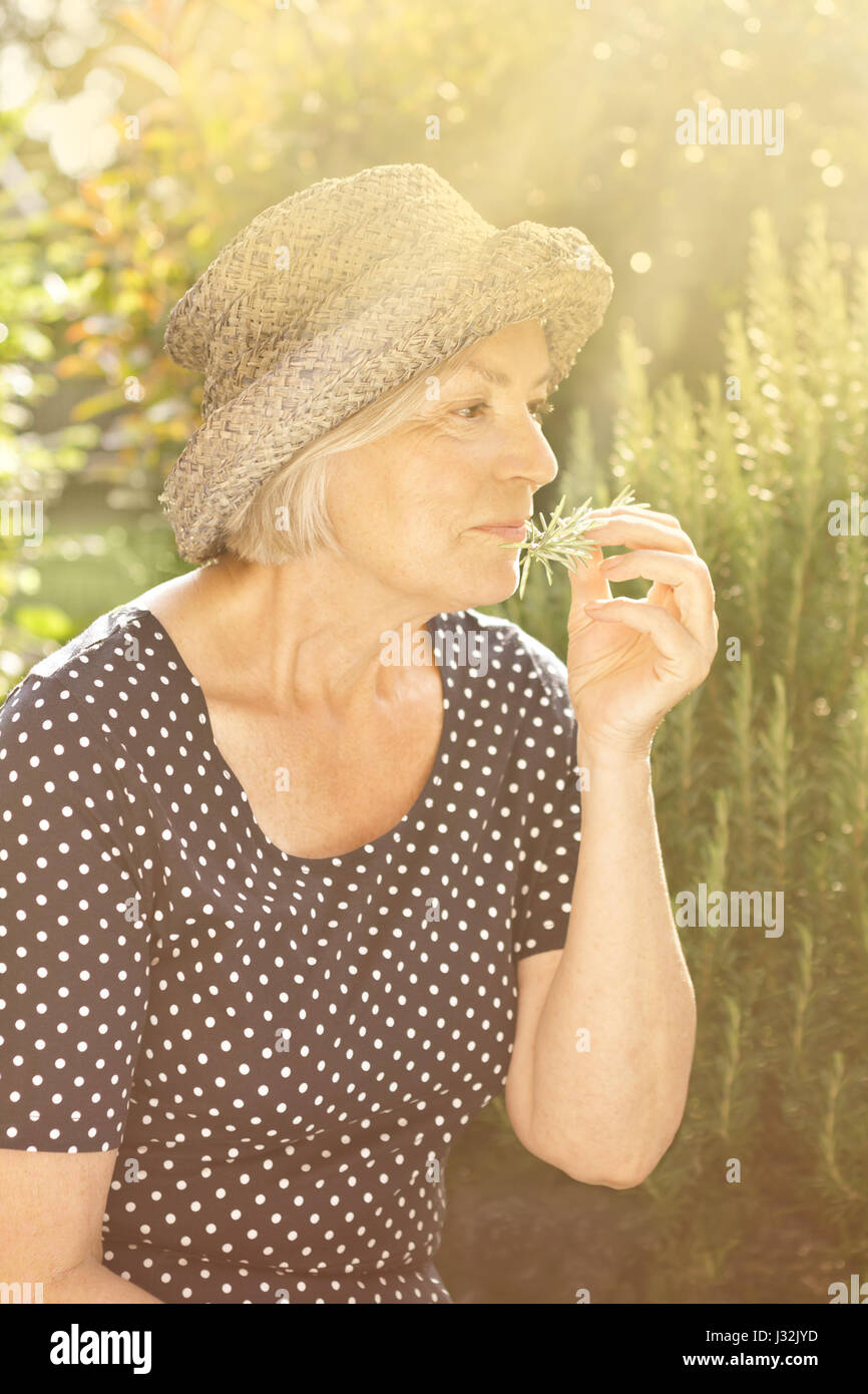 Ältere Frau in gepunktetes Kleid und Strohhut in Ihrem Garten sitzen und genießen die intensive Aroma Ihrer homegrown Rosmarin in goldenen Sommer Licht Stockfoto
