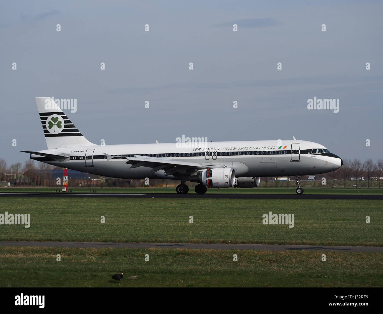 EI-DVM Aer Lingus Airbus A320-214, Cn 4634 Landung auf dem Flughafen Schiphol (AMS - EHAM), Niederlande pic4 Stockfoto