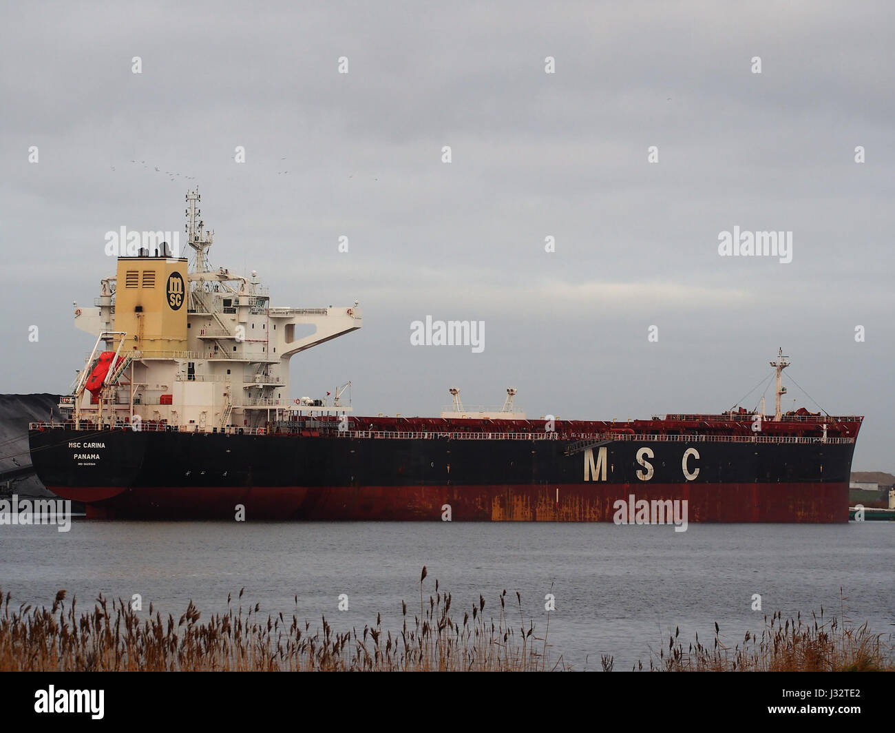 Die MSC Carina, ein Frachtschiff aus dem Jahr 2013, dockte im Amsterdamer Hafen an. Das Schiff wird während einer kommerziellen Schifffahrt im belebten Hafen gefangen genommen. Stockfoto