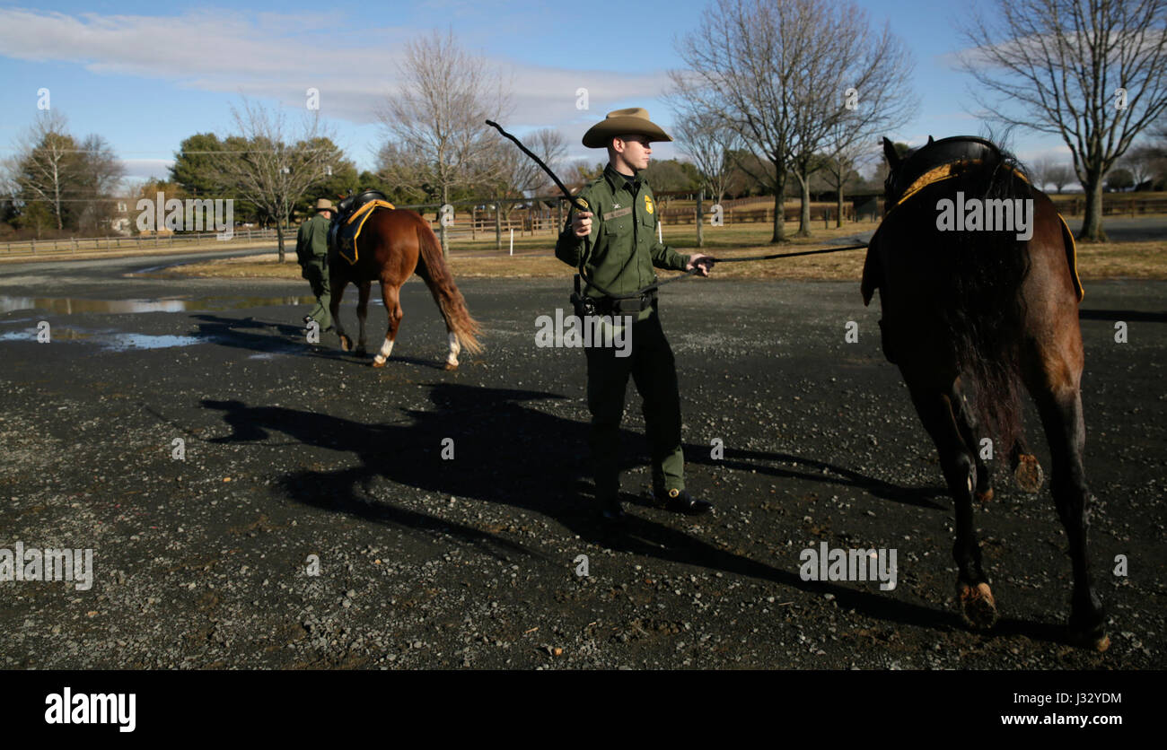 Ein US Border Patrol Agent arbeitet mit seinem Pferd Pferd während ein Medienereignis in Ebenen, VA. 18. Januar 2017, im Vorfeld der Eröffnung der 45. Präsident Trump auftretenden Freitag, Januar 20. U.S. Customs and Border Protection Foto von Glenn Fawcett Stockfoto