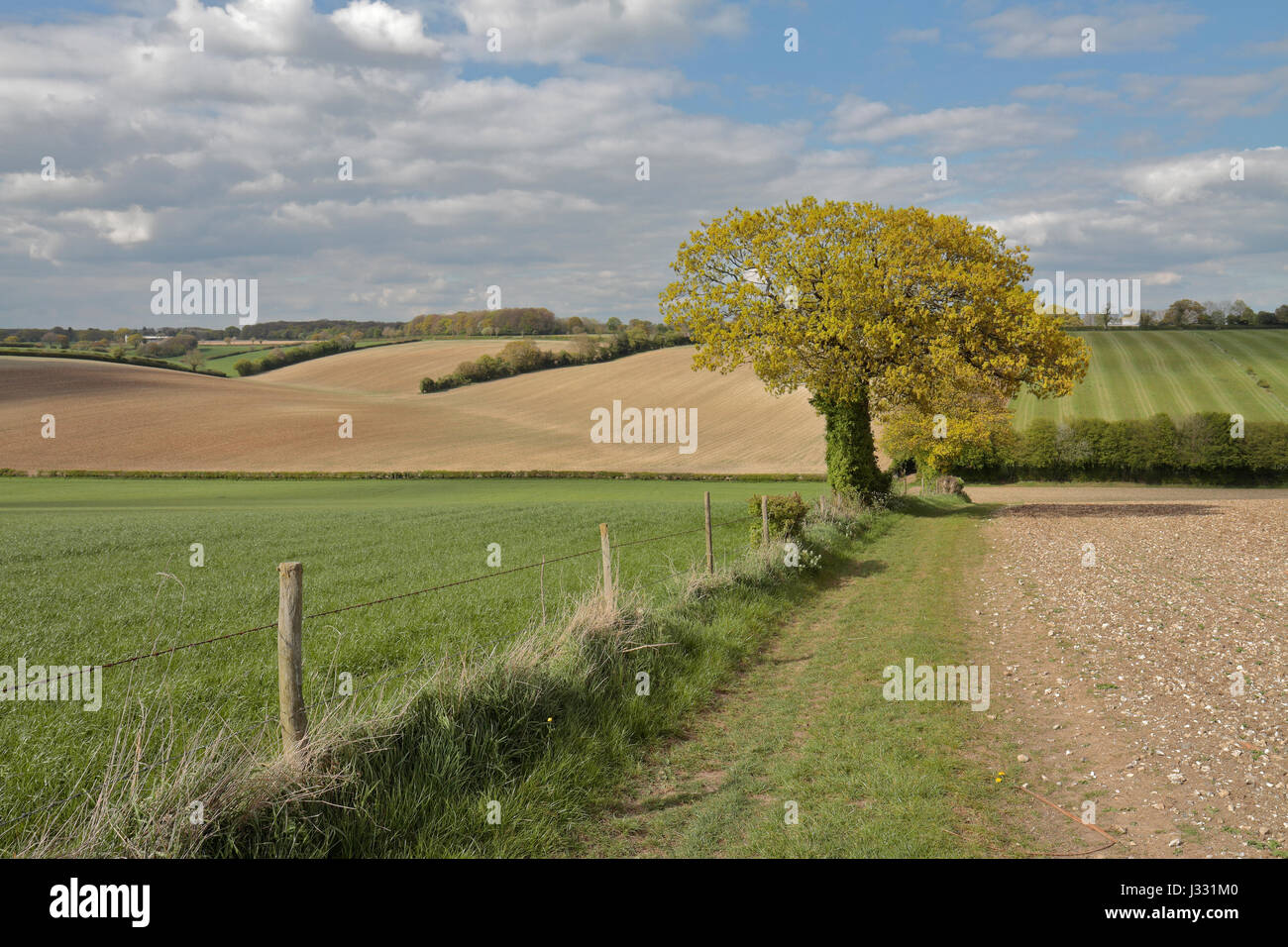 Gesamtansicht der englischen Landschaft in der Nähe von Wendover, Buckinghamshire, England. Stockfoto