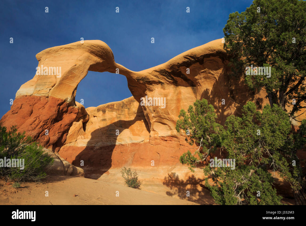 Metate Bogen im Devils Garden entlang Loch-in-the-Rock Road in der Nähe von Escalante, utah Stockfoto