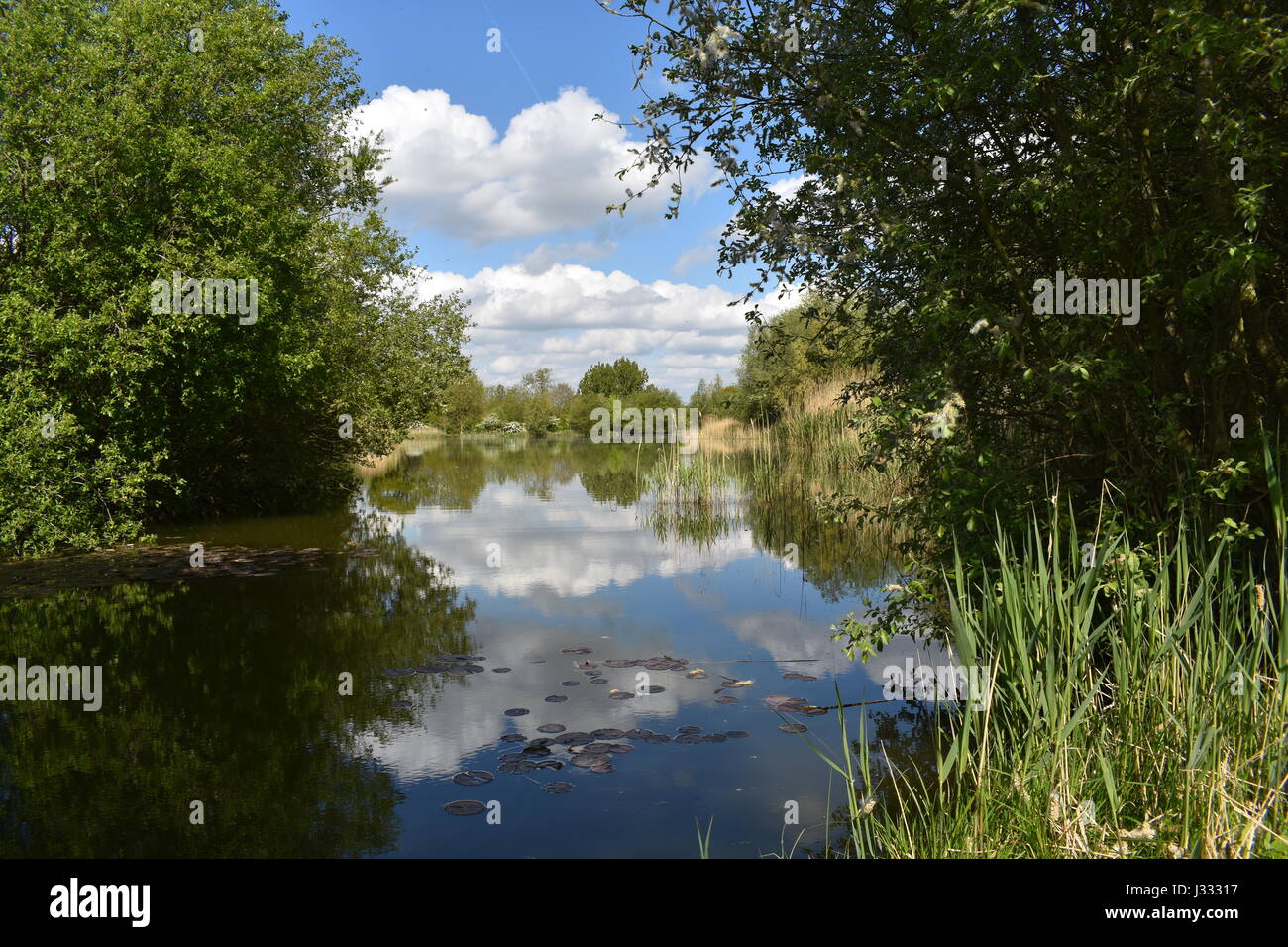 Schöner See, umgeben von Bäumen in der englischen Landschaft. Stockfoto