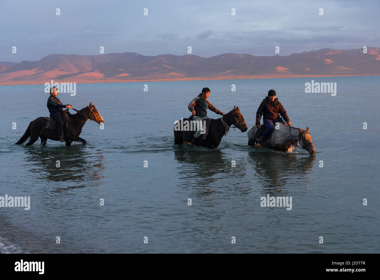 Pferde durch den malerischen See Songkul in zentralen Kirgisistan. Viele Touristen kommen in den Bereich für Reiten und trekking-Ausflüge. Stockfoto