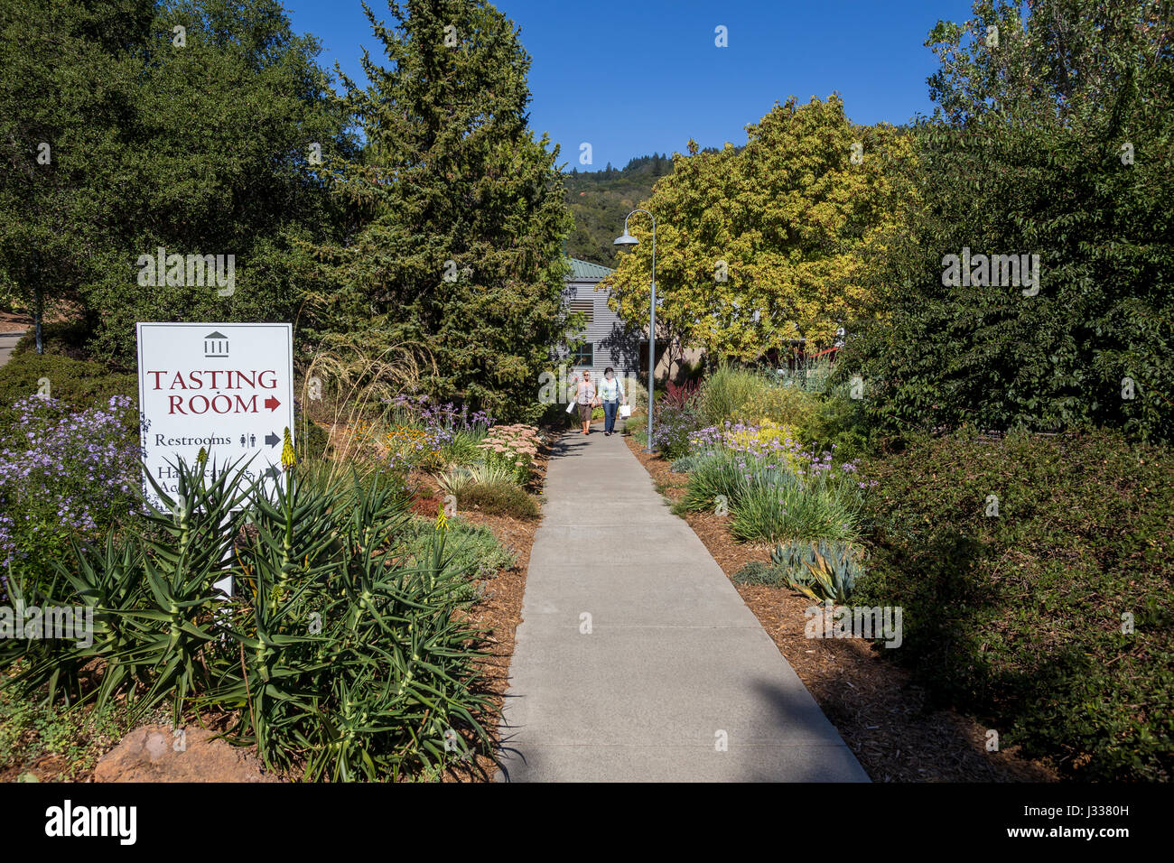 Menschen, Touristen, Weinprobe Zimmer, Imagery Estate Winery, Glen Ellen, Sonoma Valley, Sonoma County, Kalifornien Stockfoto