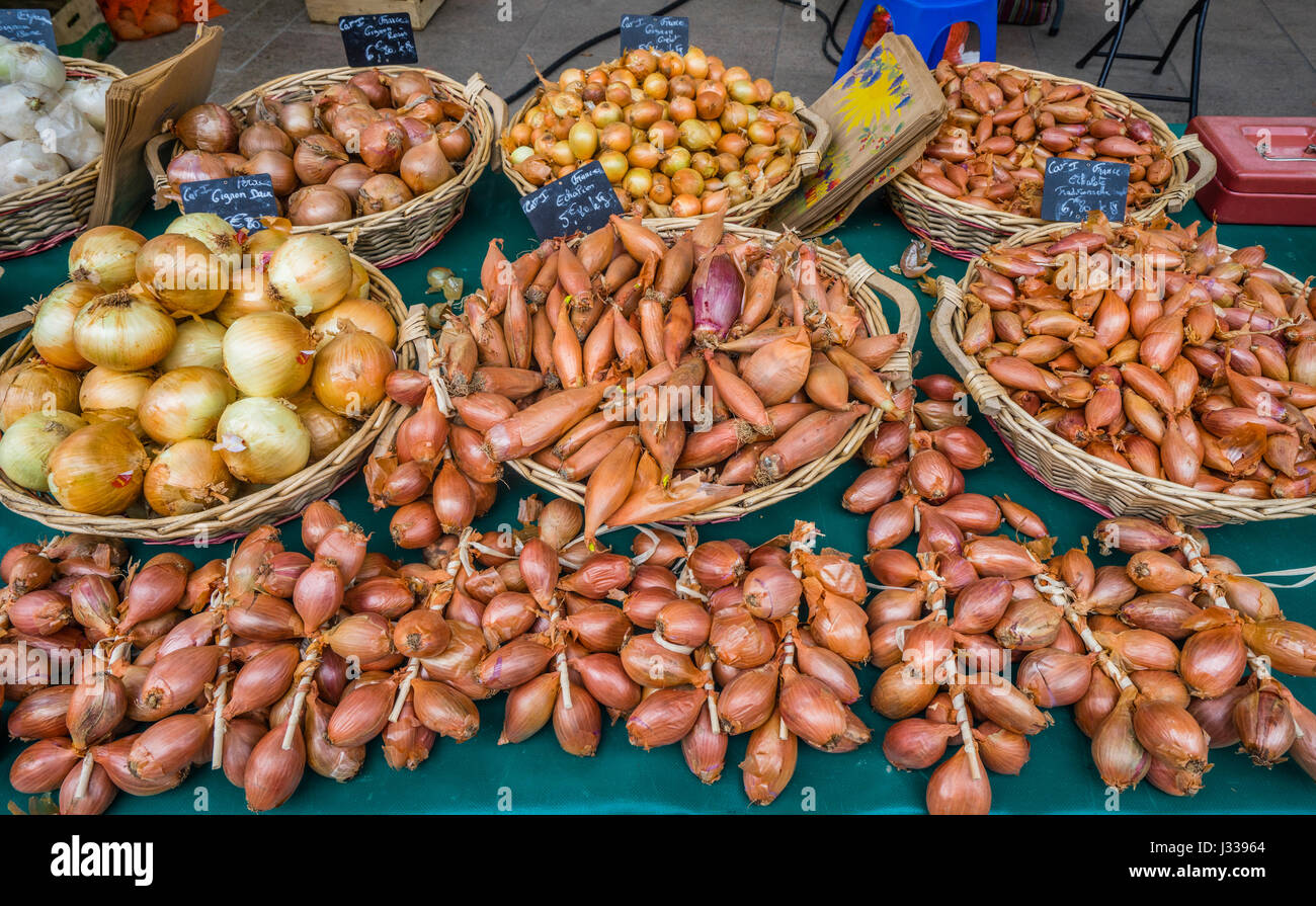 Frankreich, Centre-Val de Loire, Chartres, Marche Aux Hülsenfrüchte, Zwiebeln auf dem Gemüsemarkt Stockfoto