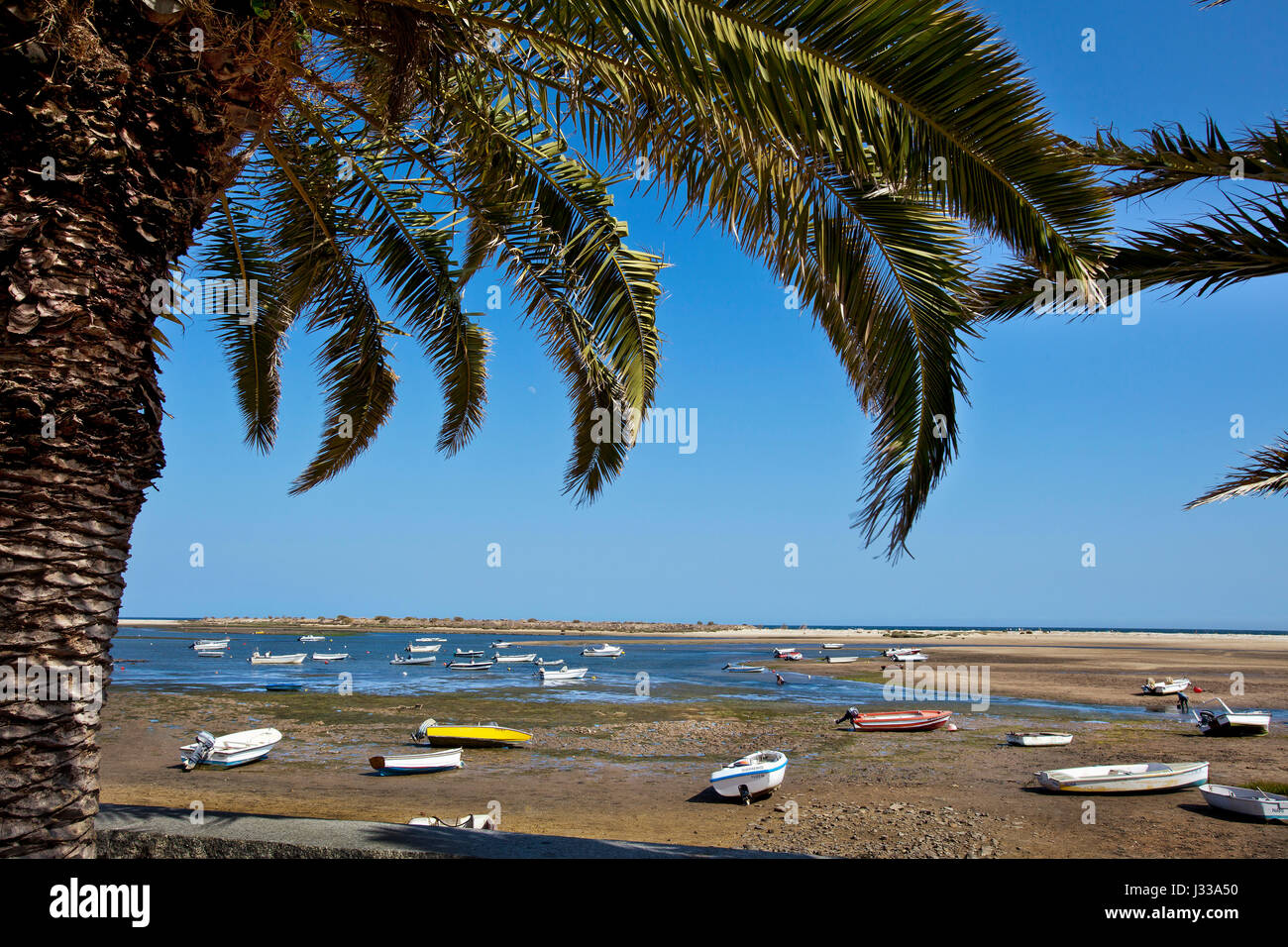 Palme und Boote, Fabrica in der Nähe von Cacela Velha, Algarve, Portugal Stockfoto