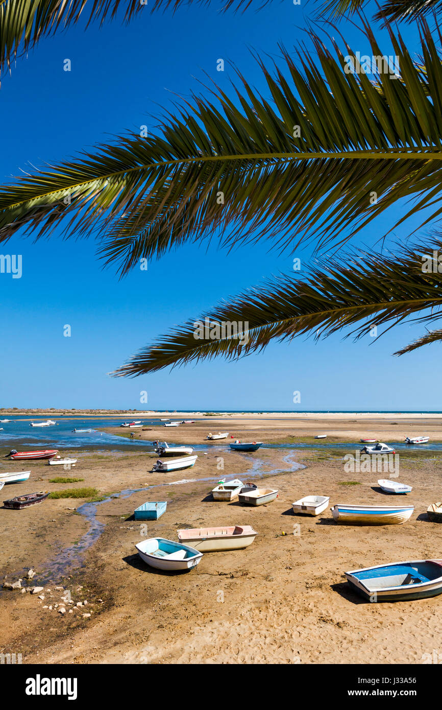 Palme und Boote, Fabrica in der Nähe von Cacela Velha, Algarve, Portugal Stockfoto