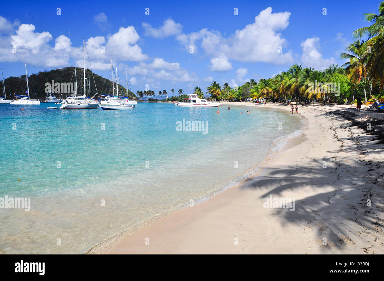 Strand mit Palmen und Badetouristen, Segelschiffe, Meer, Saltwhistle Bay, Mayreau, Tobago Cays, St. Vincent, St. Vincent und die Grenadinen, kleine Antillen, West Indies, Inseln unter dem Winde, Antillen, Karibik, Mittelamerika Stockfoto
