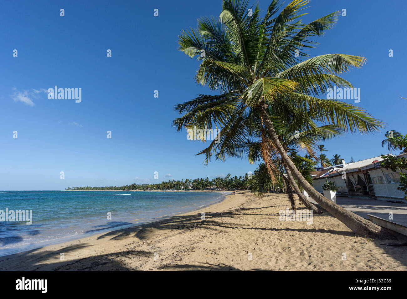 Las Terrenas Strand, Panorama, Samana, Dominikanische Republik, Antillen, Caribbean Stockfoto