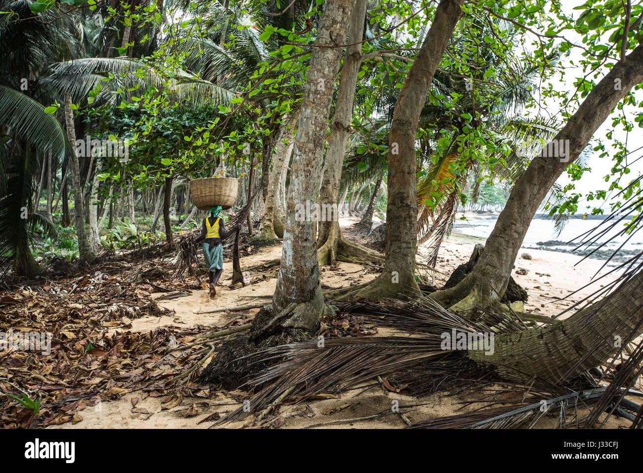 Einheimische Frau Ausgleich einen großen Korb auf ihrem Kopf, São Tomé, Sao Tome und Principe, Afrika Stockfoto