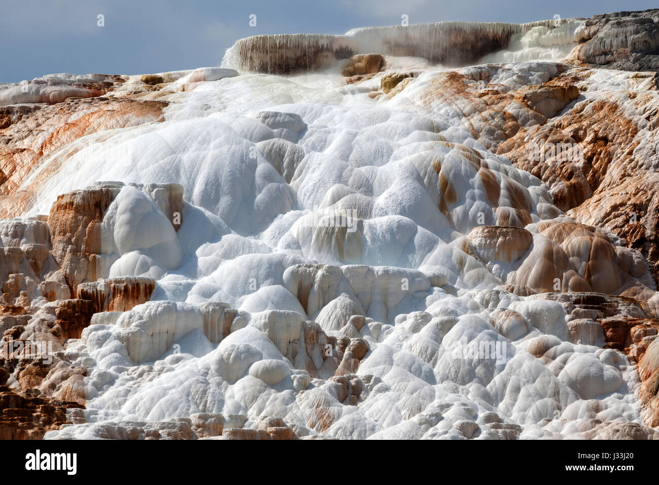 Travertin Terrassen, Thermalbad, Mineral Ablagerungen, Kanarischen Frühling, Main-Terrasse, Mammoth Hot Springs, Yellowstone-Nationalpark Stockfoto