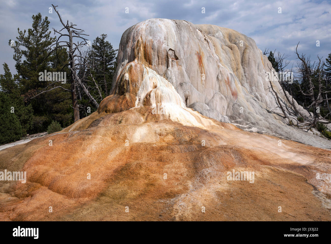 Orange Spring Mound, oberen Terrassen, Mammoth Hot Springs, Yellowstone-Nationalpark, Wyoming, USA Stockfoto