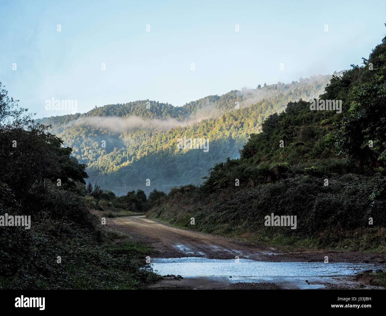 Ford durch Stream auf Matahi Valley Road, Nebel steigt aus einheimischen Waldes Busch bewachsenen Hügel, Te Urewera National Park, Bay of Plenty, Neuseeland Stockfoto