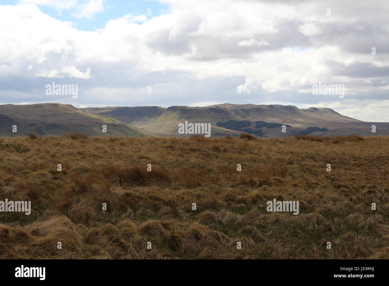 Campsie Hills in der Nähe von Dorf Fintry, Schottland Stockfoto