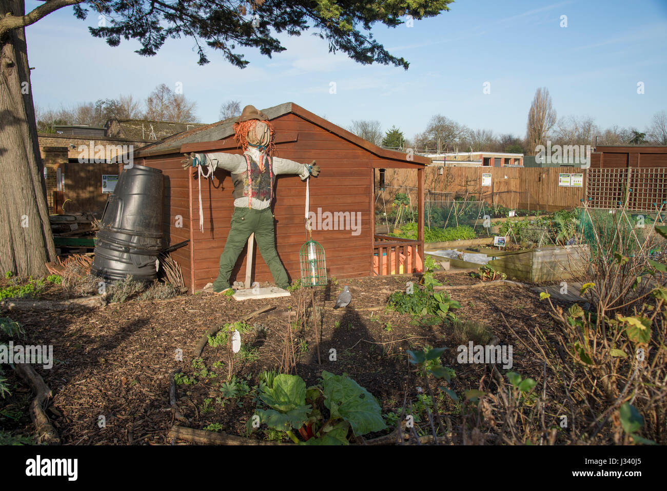 Gemeinschaftlichen Garten, Richmond, London. Stockfoto