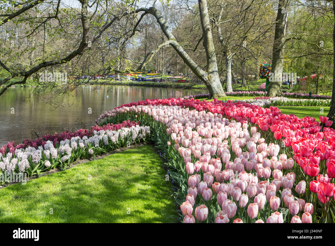 Verschiedenen Blumenarrangements von Keukenhof Blumengarten Holland 2017 Stockfoto