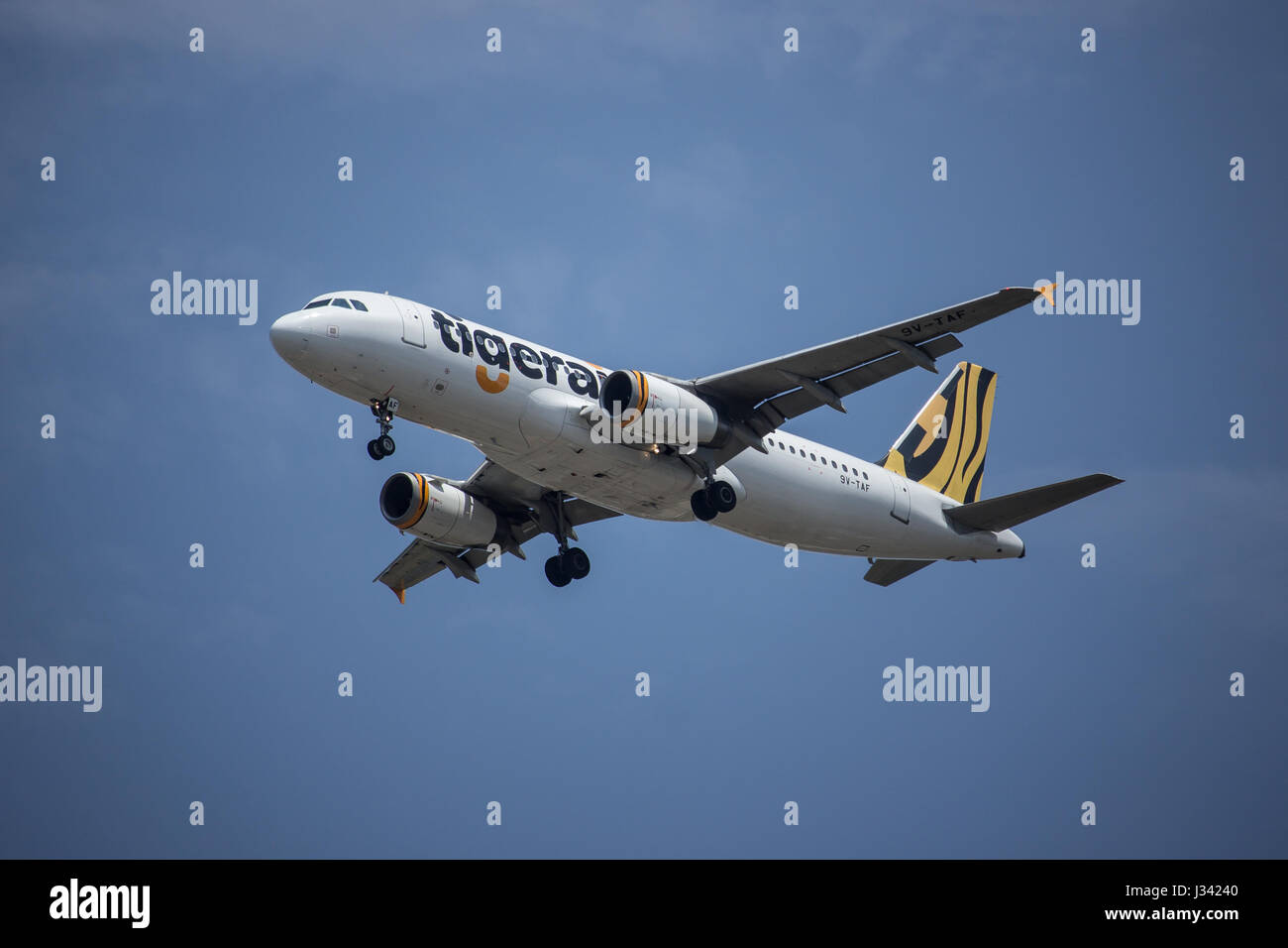 CHIANG MAI, THAILAND-29. April 2017: 9V-TAF Airbus A320-200 der Tiger Luft. Landung in Chiangmai Flughafen von Singapur. Stockfoto